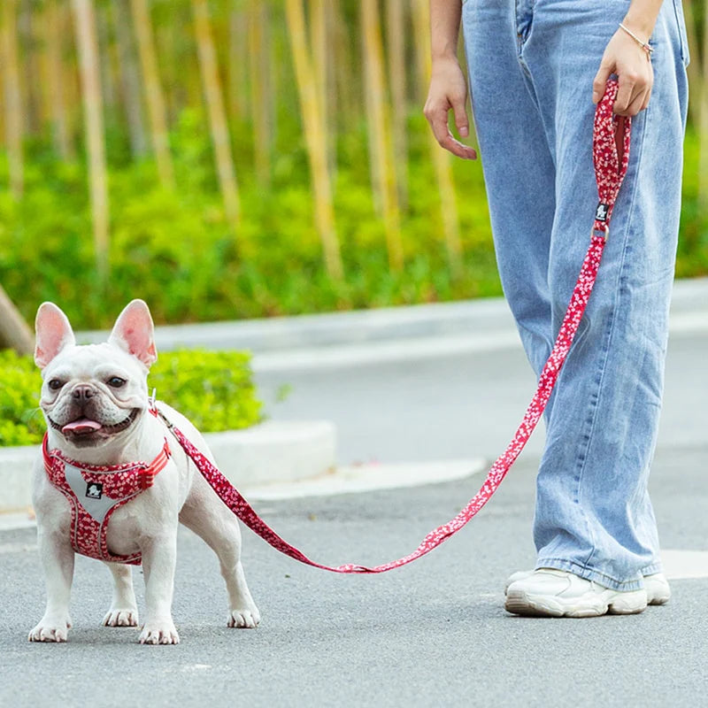 Floral Dog Leash With Multiple Handles - Red